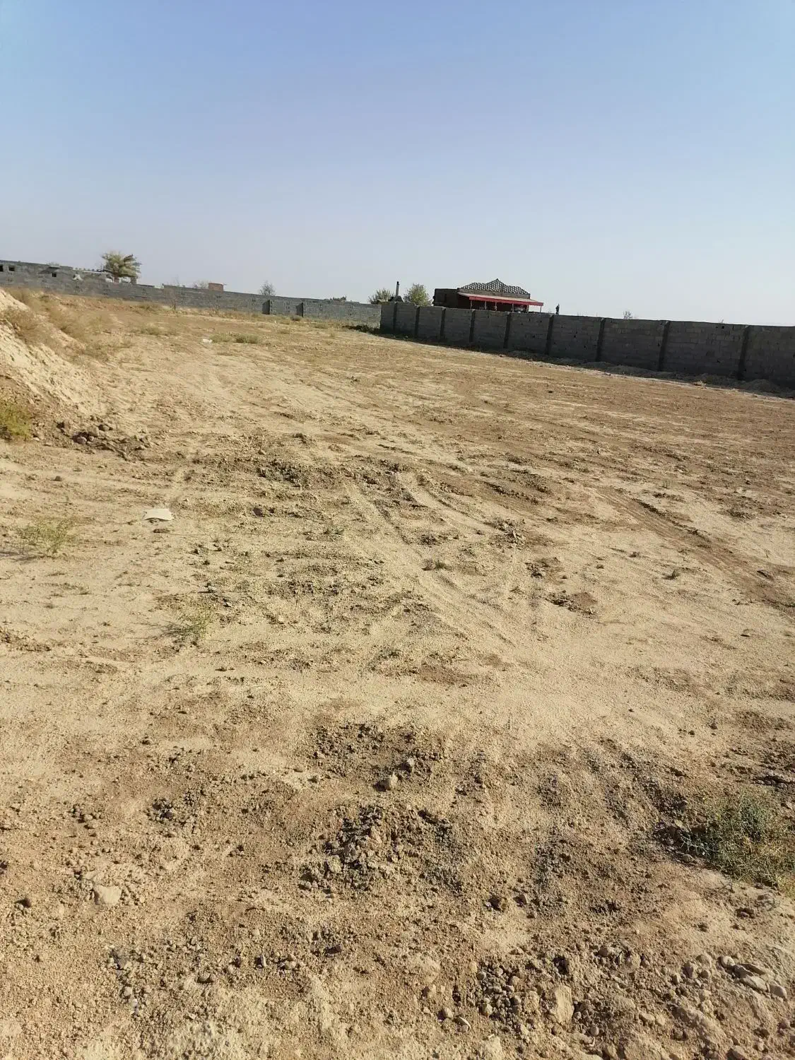 ی قطعه زمین فروشی 800 متری|فروش دفتر صنعتی، کشاورزی، تجاری|شاهرود, |دیوار