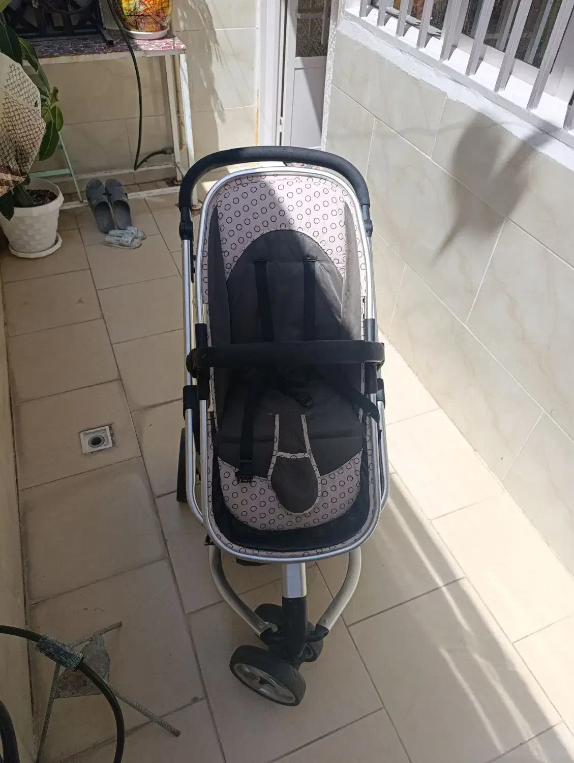 کالسکه|کالسکه و لوازم جانبی|مشهد, بهمن|دیوار