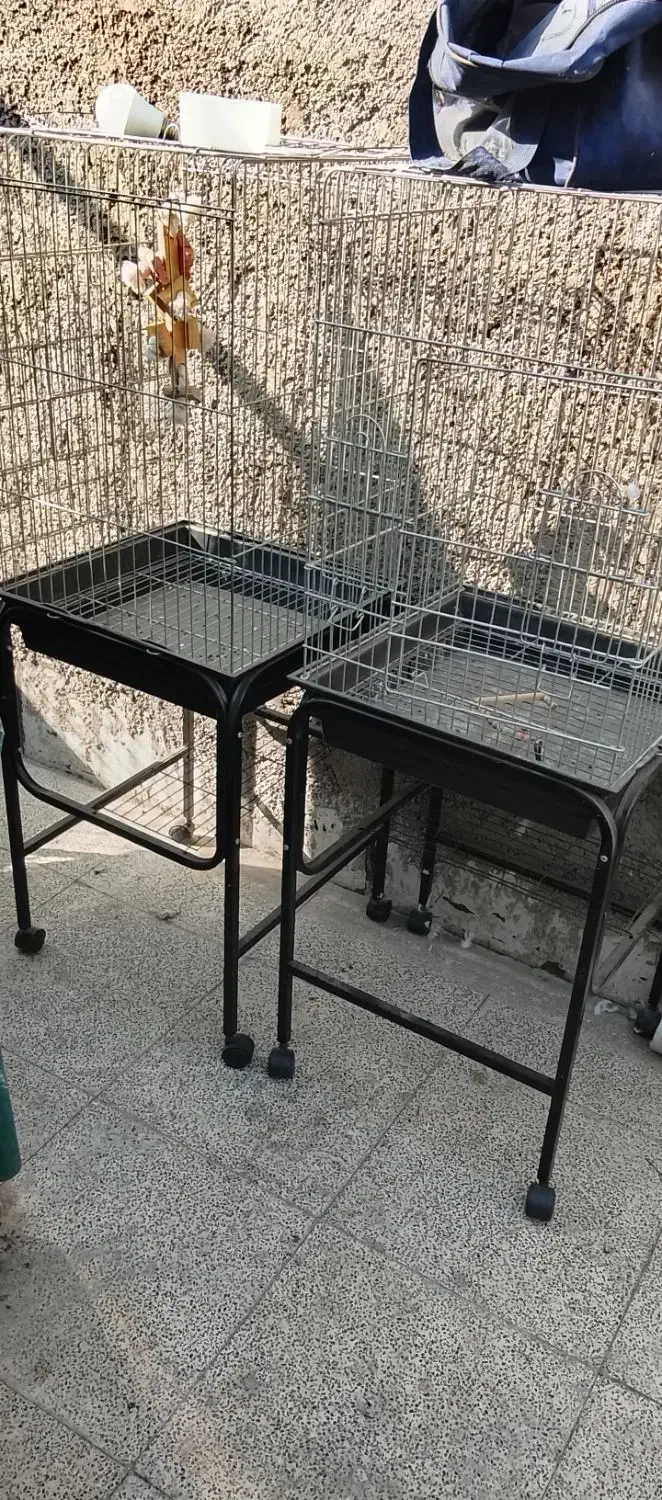 قفس پرو|لوازم جانبی حیوانات|تهران, جوادیه تهرانپارس|دیوار