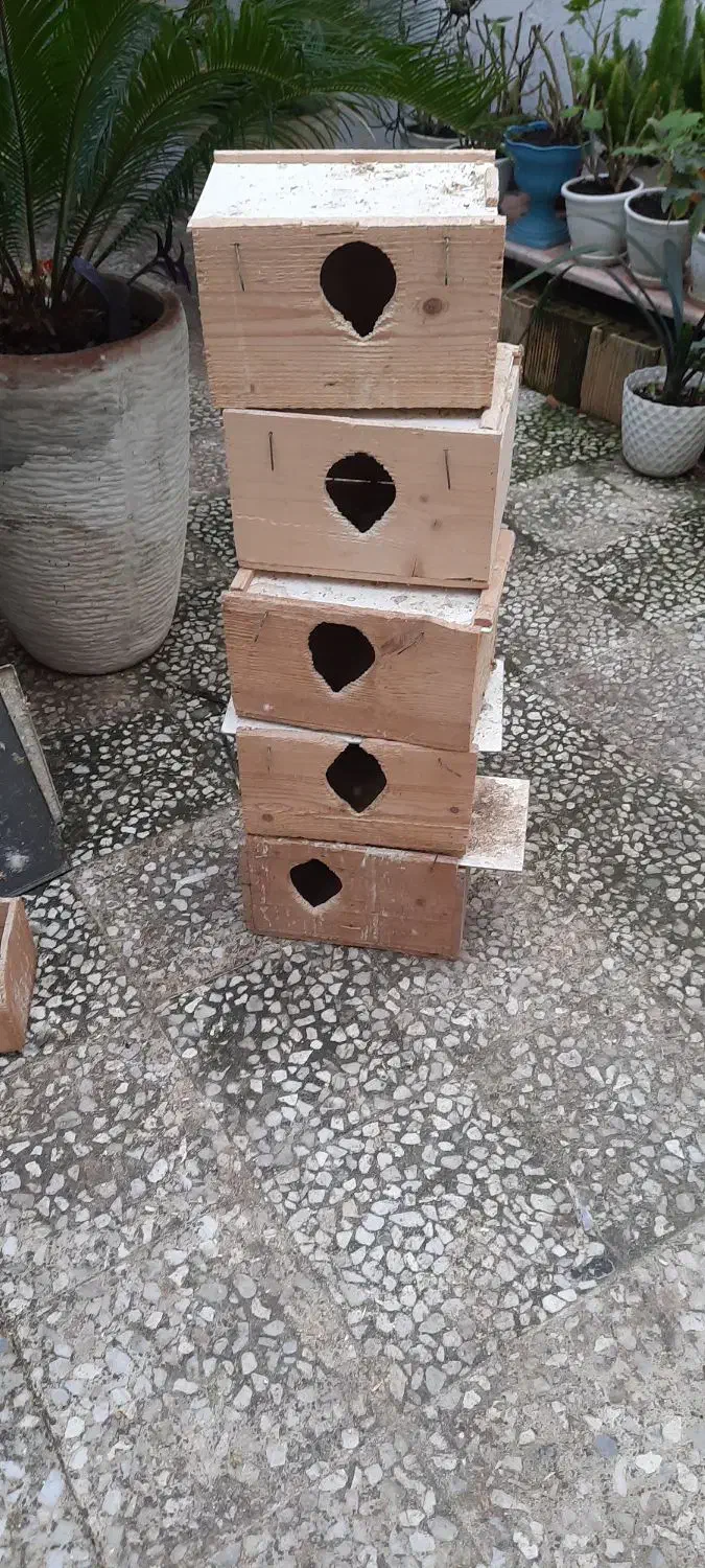 تعداد لانه عروس و قفس به همراه آب خوری|لوازم جانبی حیوانات|رستم‌آباد, |دیوار