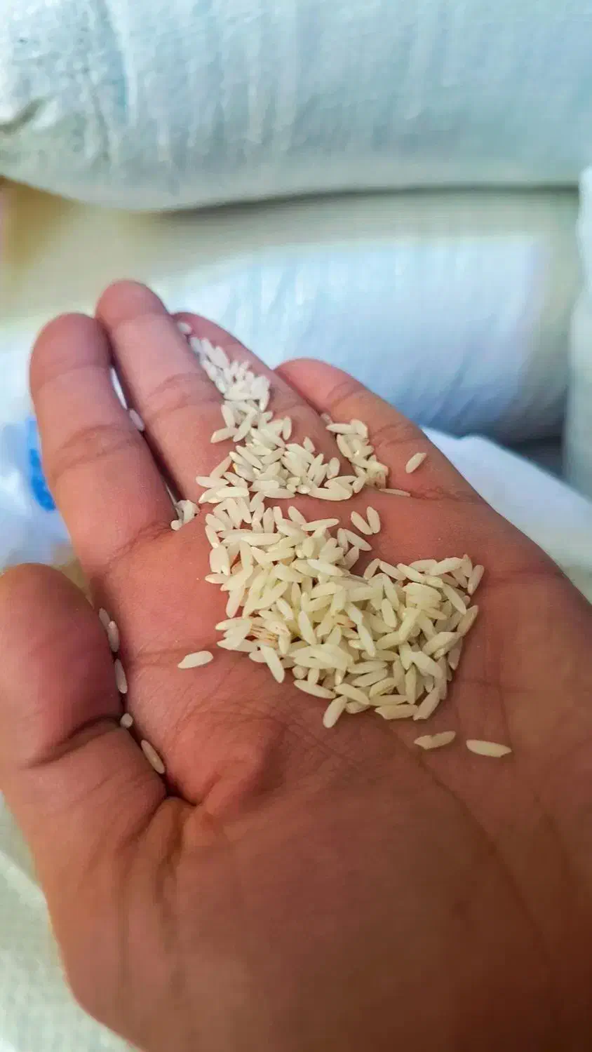 برنج درگز بذر طارم و دمسیاه|خوردنی و آشامیدنی|مشهد, توس (بلوار توس)|دیوار