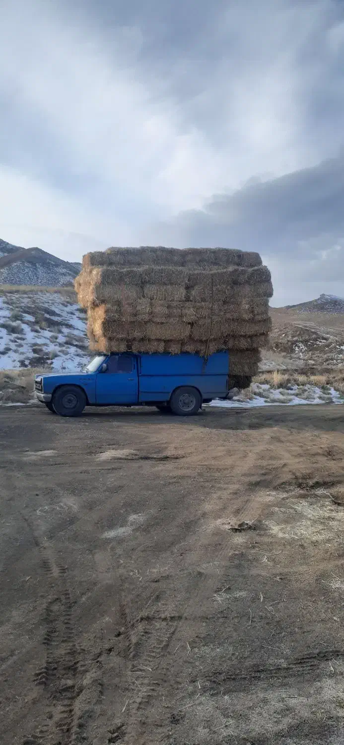 پرس کاه|حیوانات مزرعه|سبزوار, کراب|دیوار