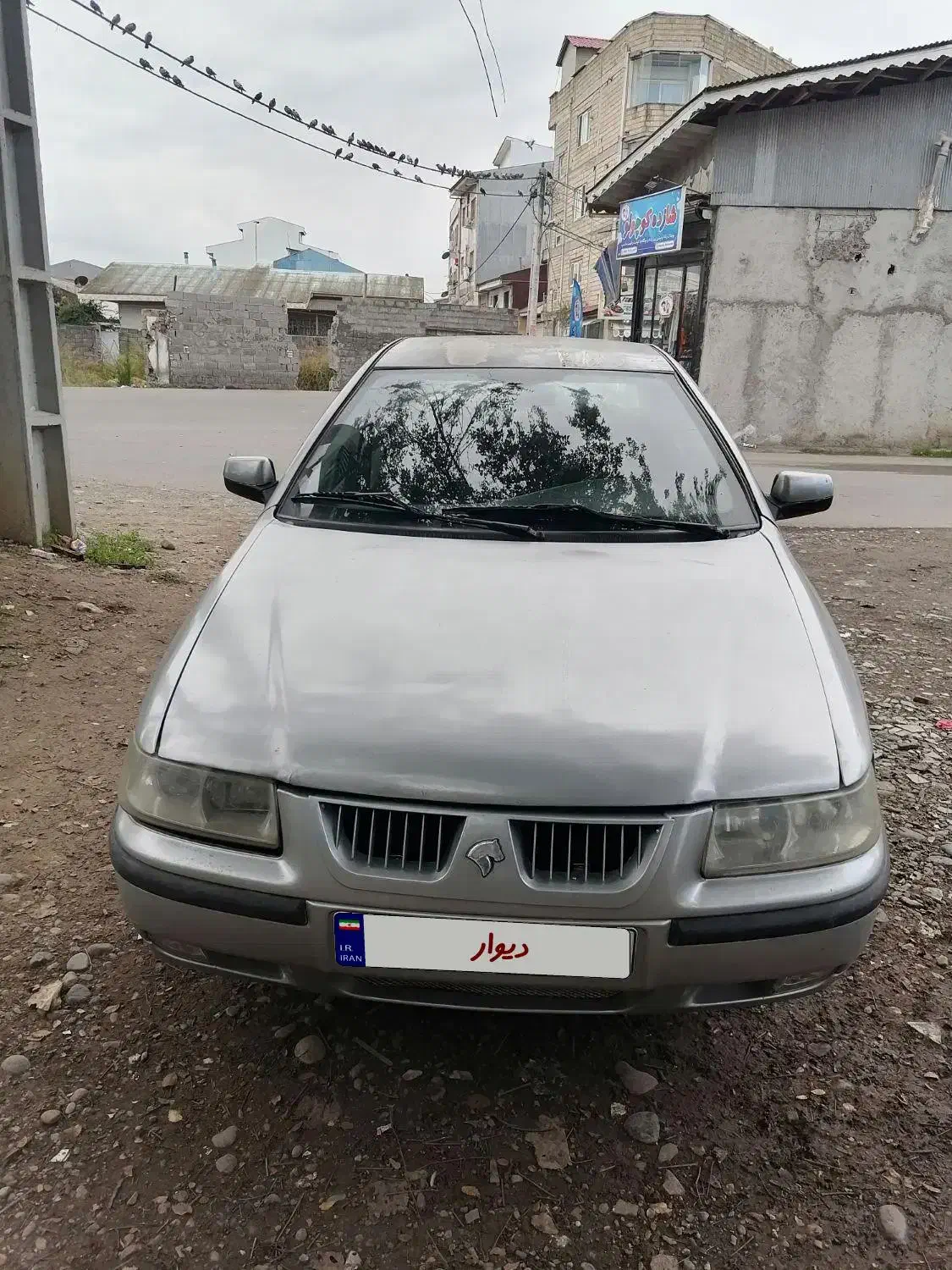 سمند مدل ۸۲ قیمت عالی|خودرو سواری و وانت|رشت, دیانتی|دیوار