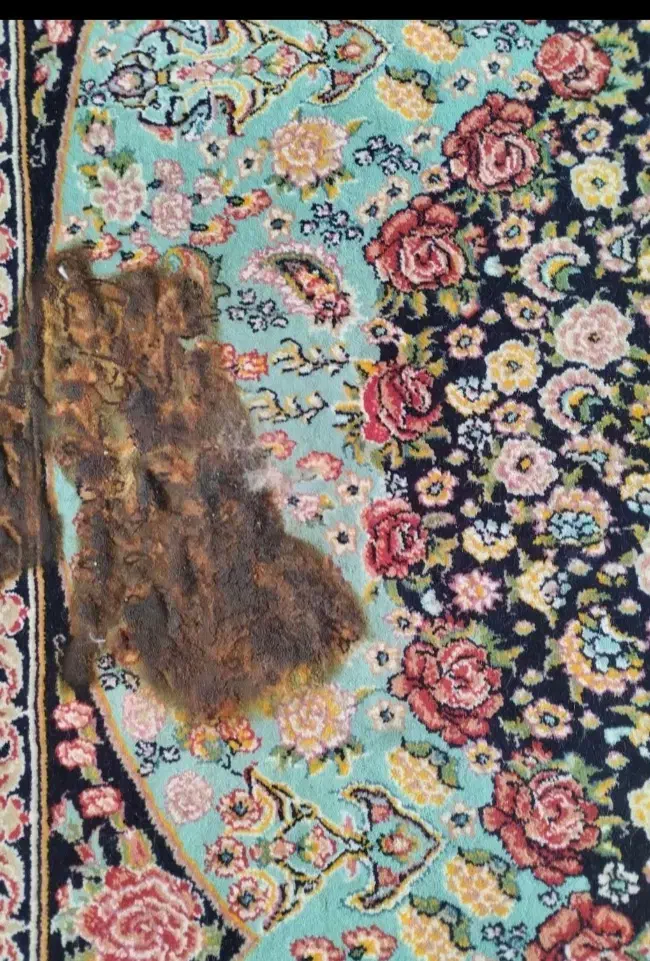 روفوگری و تعمیر انواع فرش|فرش|قم, علی آباد|دیوار