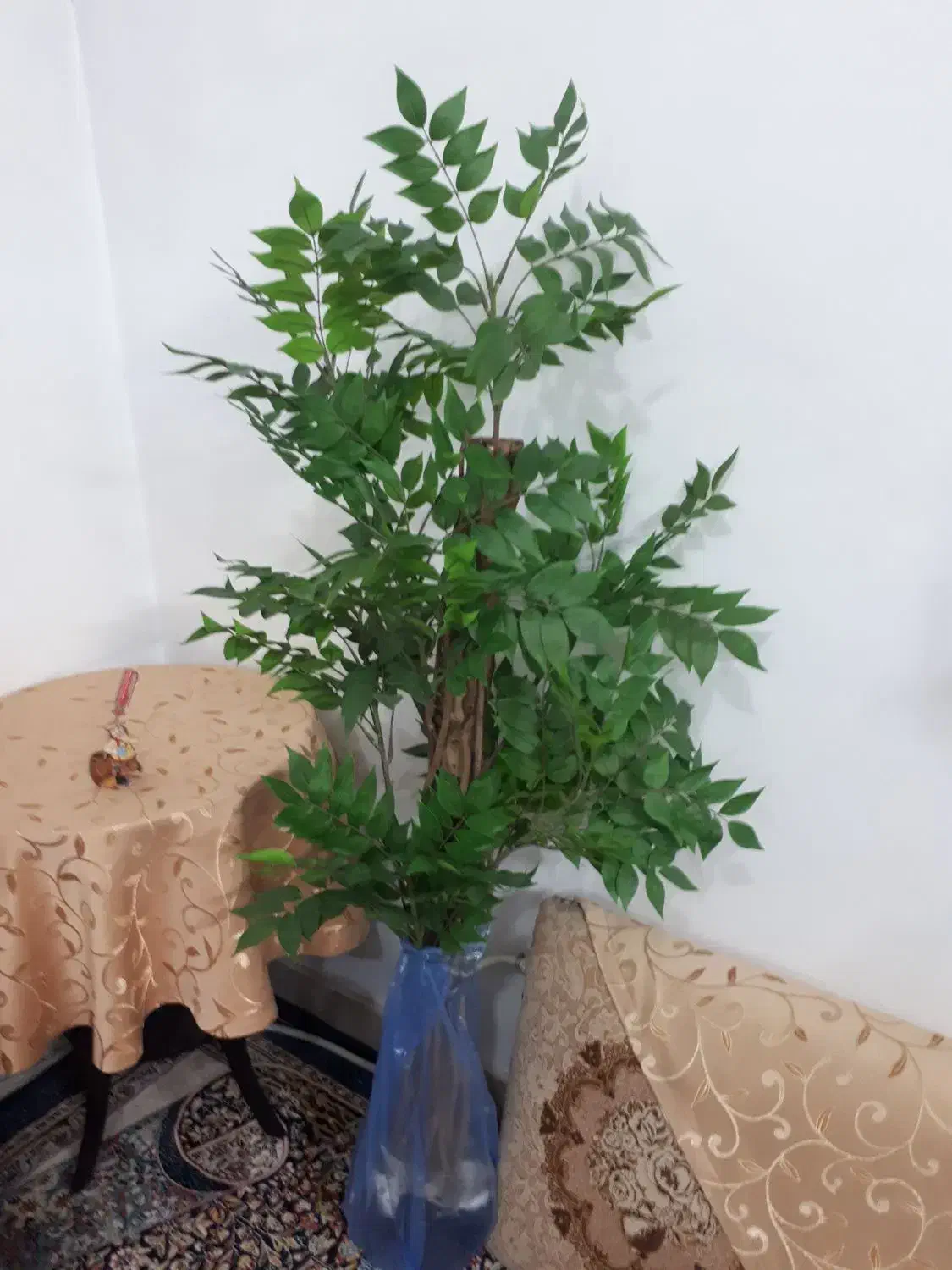 درخچه مصنوعی|گل مصنوعی|قرچک, مهدیه|دیوار