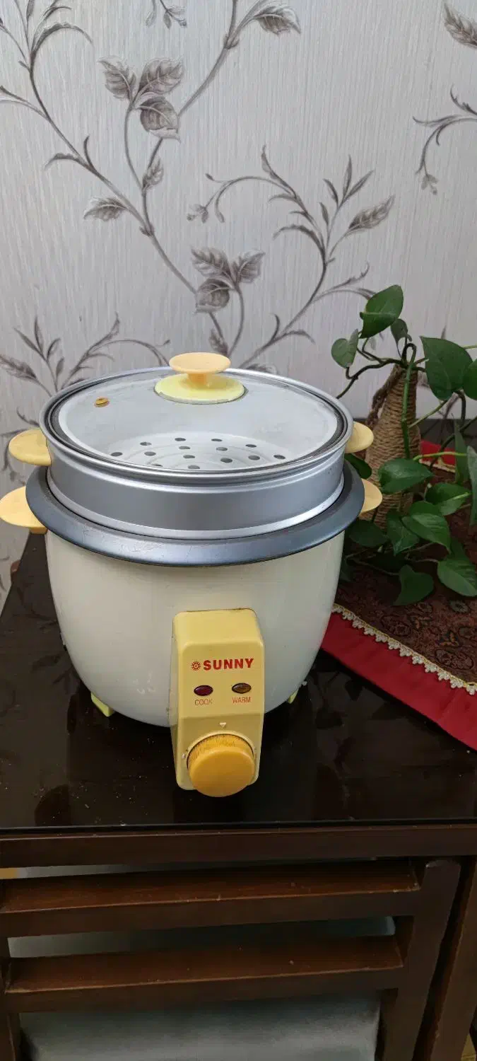 پلوپز و بخار پز|اجاق گاز و لوازم برقی پخت‌وپز|کرج, مصباح|دیوار