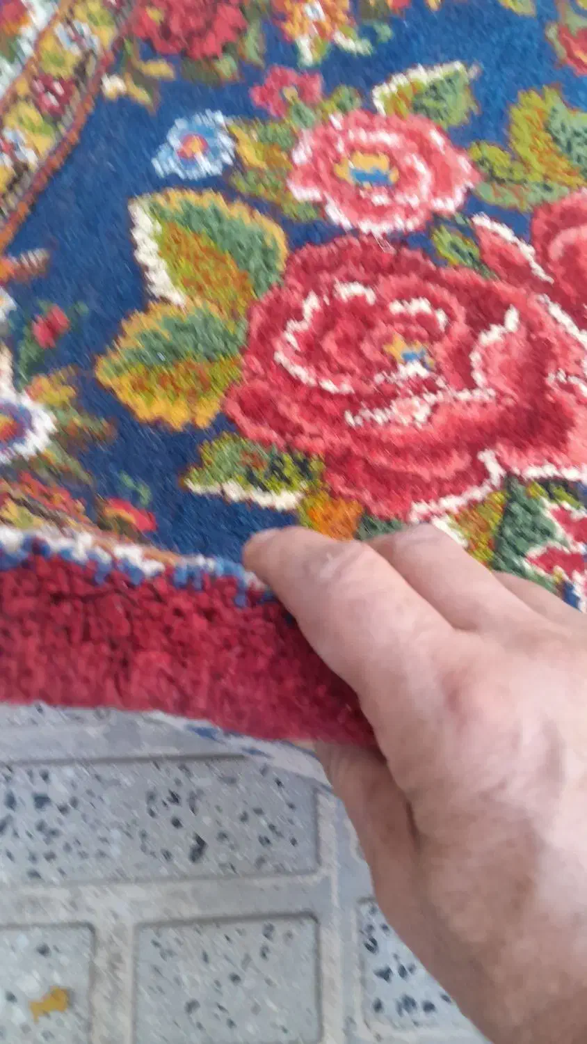 فرش دستباف خامه رنگ ثابت گیاهی|فرش|کیار, |دیوار