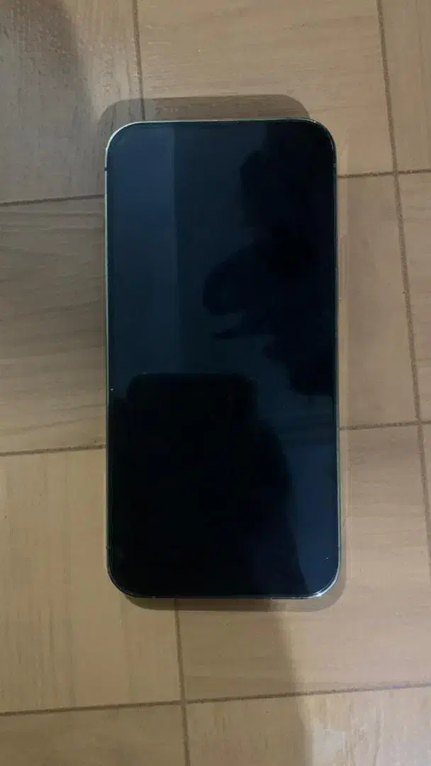 13 پرو باطری 100|موبایل|تهران, استاد معین|دیوار