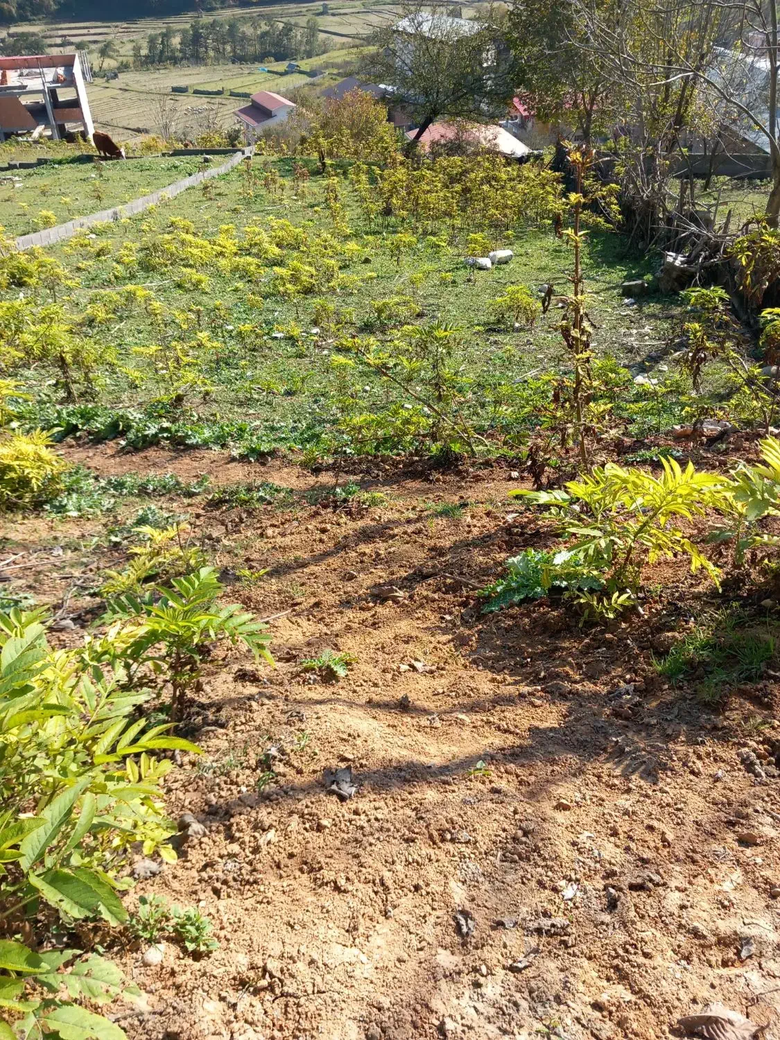 ملک سند دار|فروش زمین و ملک کلنگی|زیرآب, |دیوار