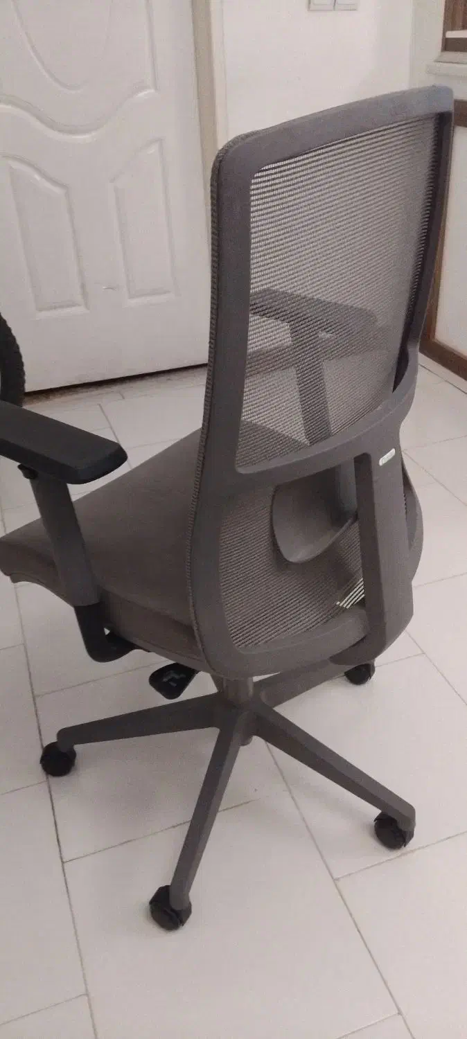 صندلی مارک داتیس|دفتر کار|ملایر, |دیوار