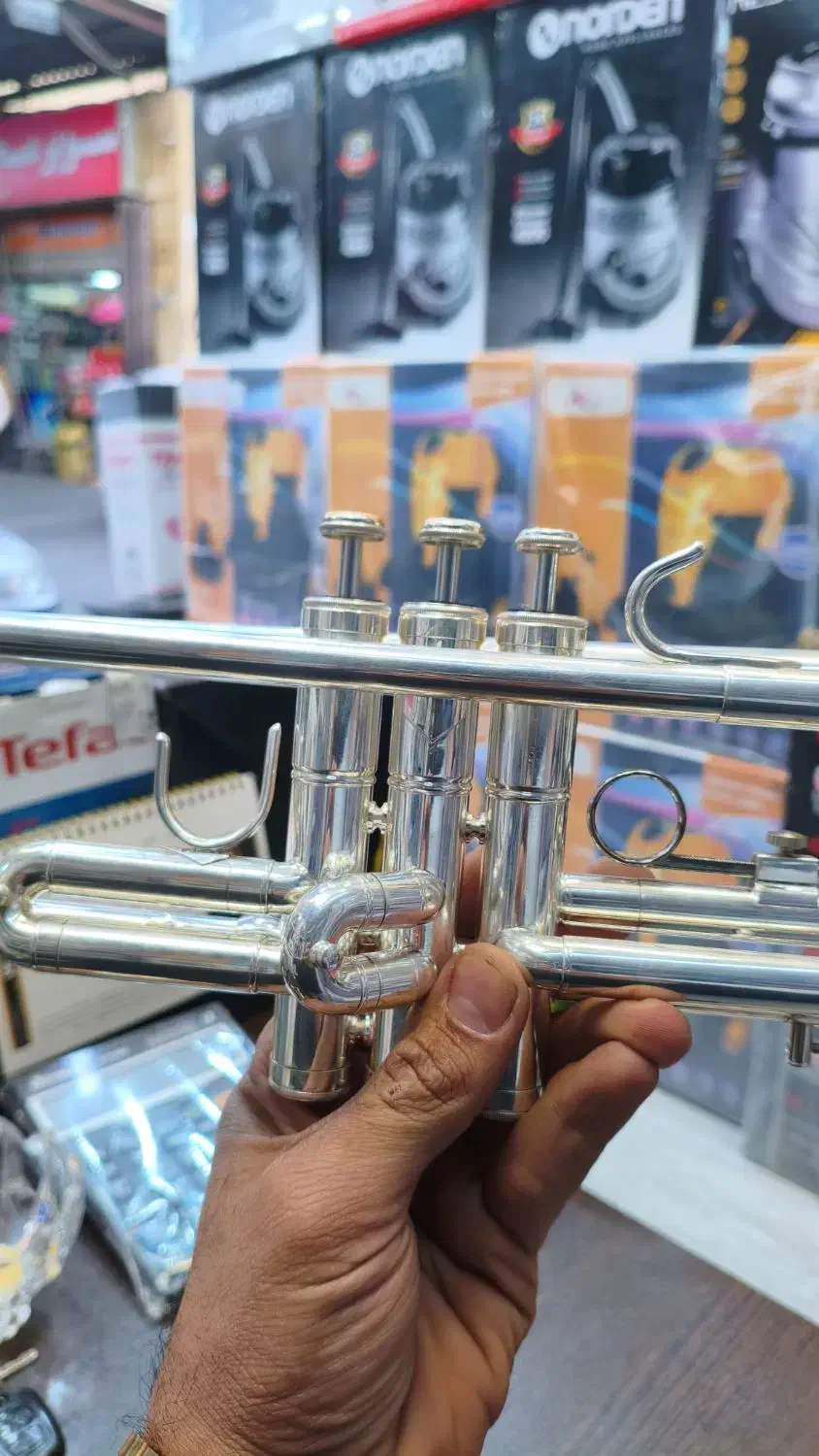 ترومپت|سازهای بادی|اصفهان, نقش جهان|دیوار