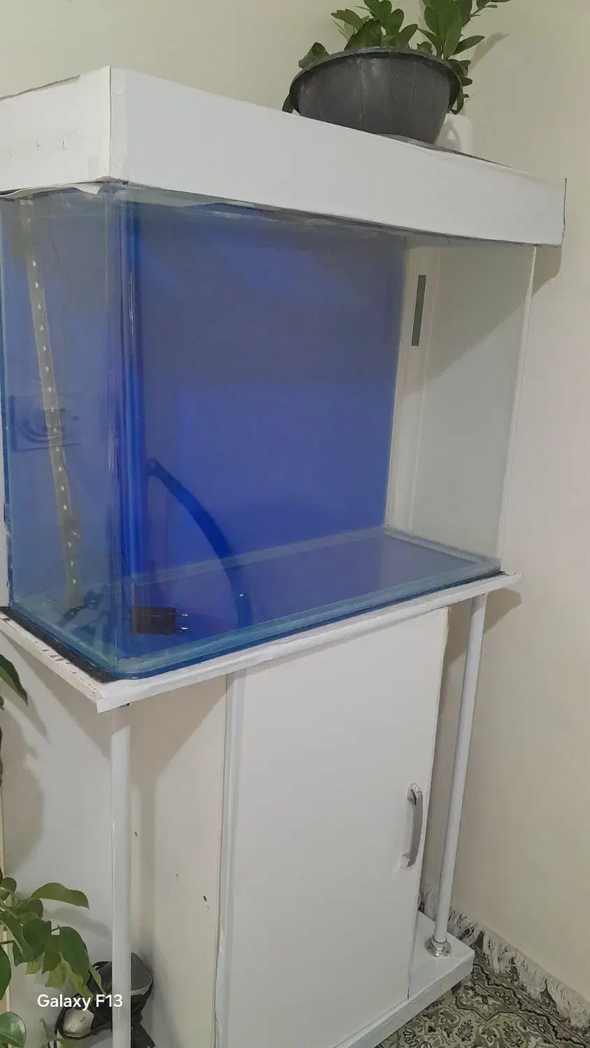 آکواریوم  شیشه خم سایز بزرگ|ماهی|محمدشهر, هزار واحدی|دیوار