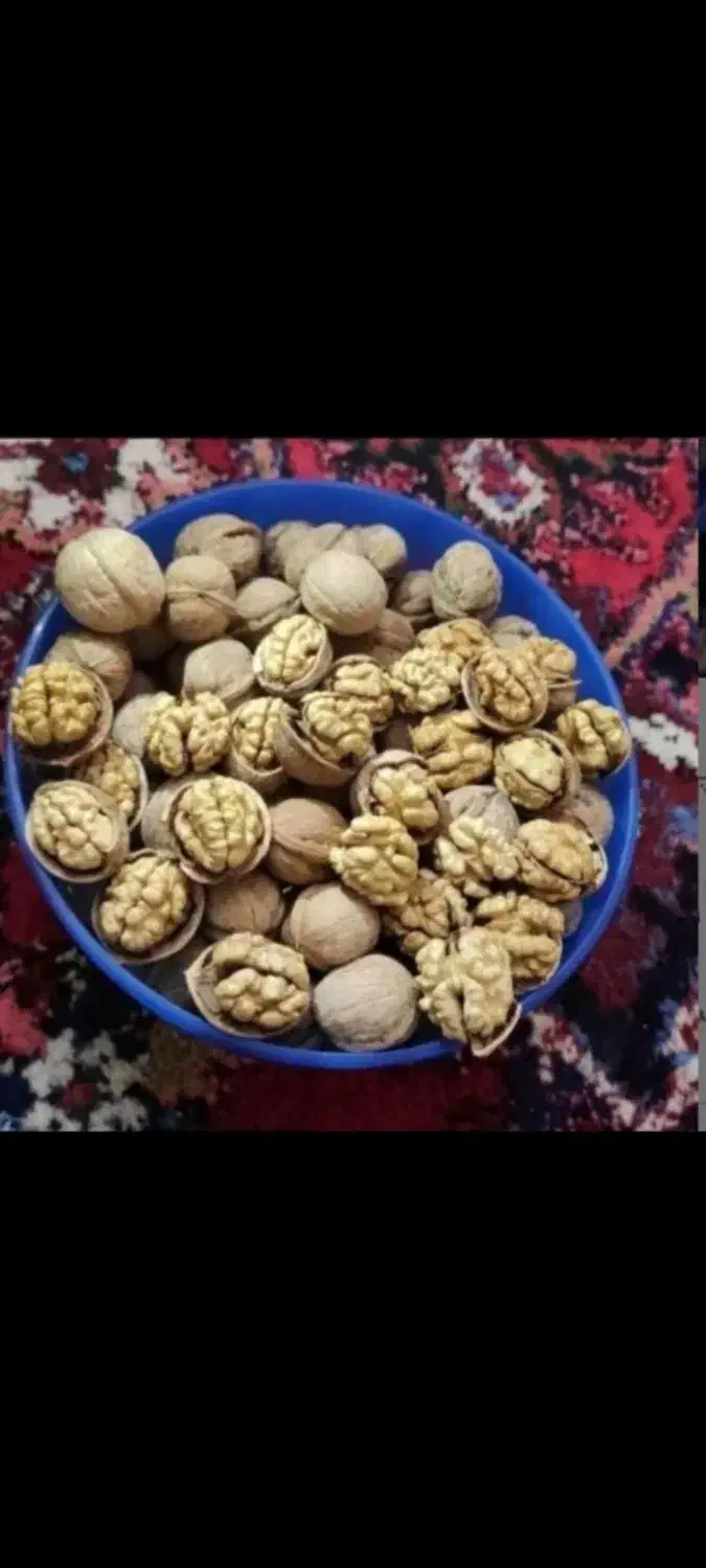 گردو درجه۱|خوردنی و آشامیدنی|رشت, خواهر امام|دیوار