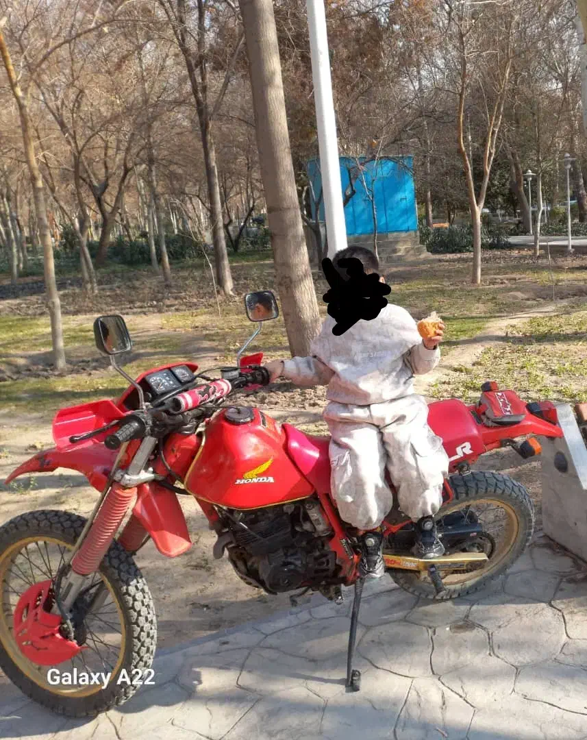 هوندا xlr250|موتورسیکلت|اصفهان, پوریای ولی|دیوار