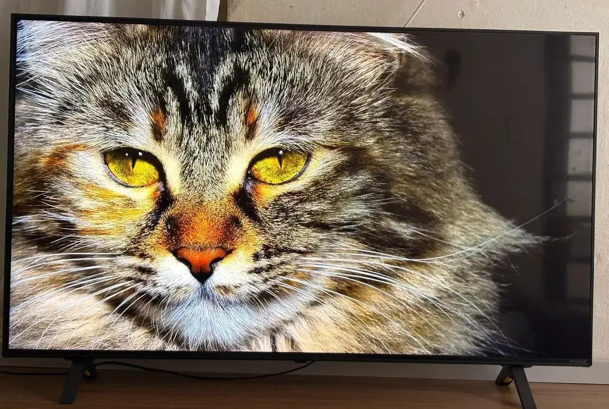 ال ای دی 50 اینچ STAR TRAC آندروید 14 آکبند|تلویزیون و پروژکتور|اهواز, پردیس دو|دیوار