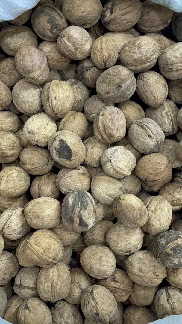 خرید و فروش خشکبار|خوردنی و آشامیدنی|شبستر, |دیوار