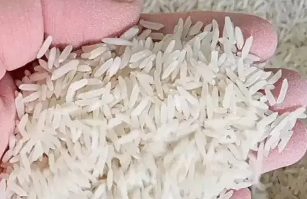 برنج اصیل گلستان|خوردنی و آشامیدنی|قزوین, |دیوار