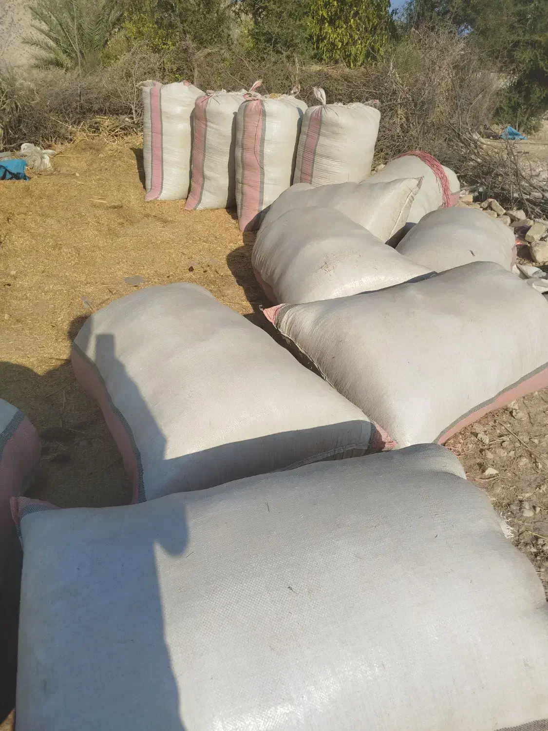 کاه پارسال|لوازم جانبی حیوانات|کازرون, |دیوار