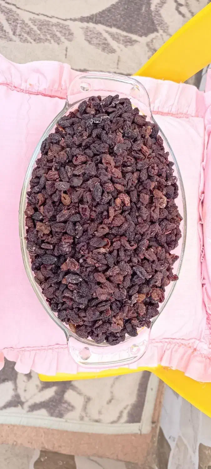 زغال اخته بدون هسته و اعلا|عمدهفروشی|مرند, |دیوار