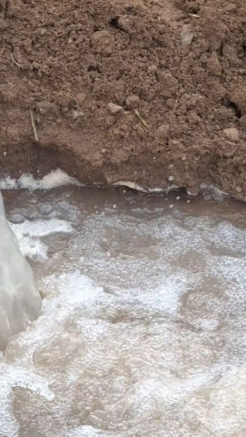 فروش یک قطعه زمین با مجوز گلخانه|فروش دفتر صنعتی، کشاورزی، تجاری|کرمانشاه, |دیوار