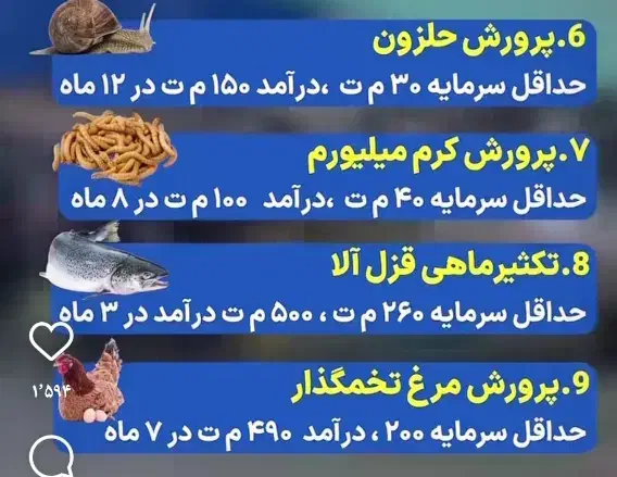 شراکت در پرورش پرنده زینتی|فعالیت داوطلبانه|کرمانشاه, |دیوار