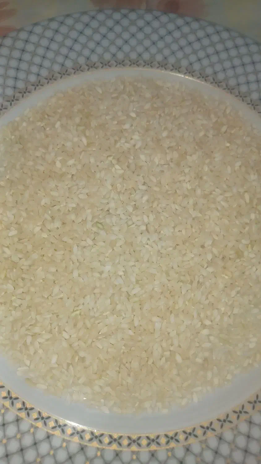 برنج درجه یک|عمدهفروشی|فیروزآباد (فارس), |دیوار