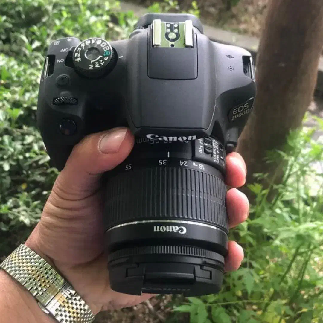 دوربین کانن ۲۰۰۰دی Canon 2000d|دوربین عکاسی و فیلمبرداری|فردوس (کرمان), |دیوار