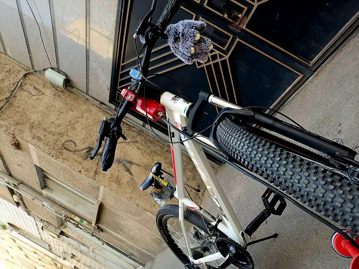 دوچرخه کویر ۲۶|دوچرخه، اسکیت، اسکوتر|تهران, شکیبا|دیوار