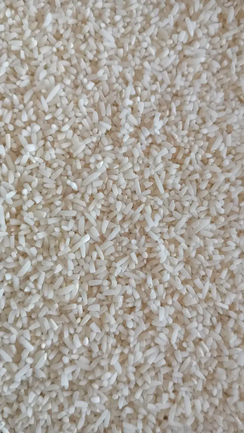 برنج لاشه هاشمی|خوردنی و آشامیدنی|کوچصفهان, |دیوار