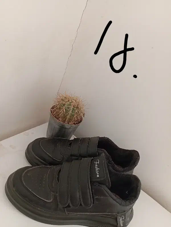 کفش اسپرت|کیف، کفش، کمربند|بیرجند, |دیوار