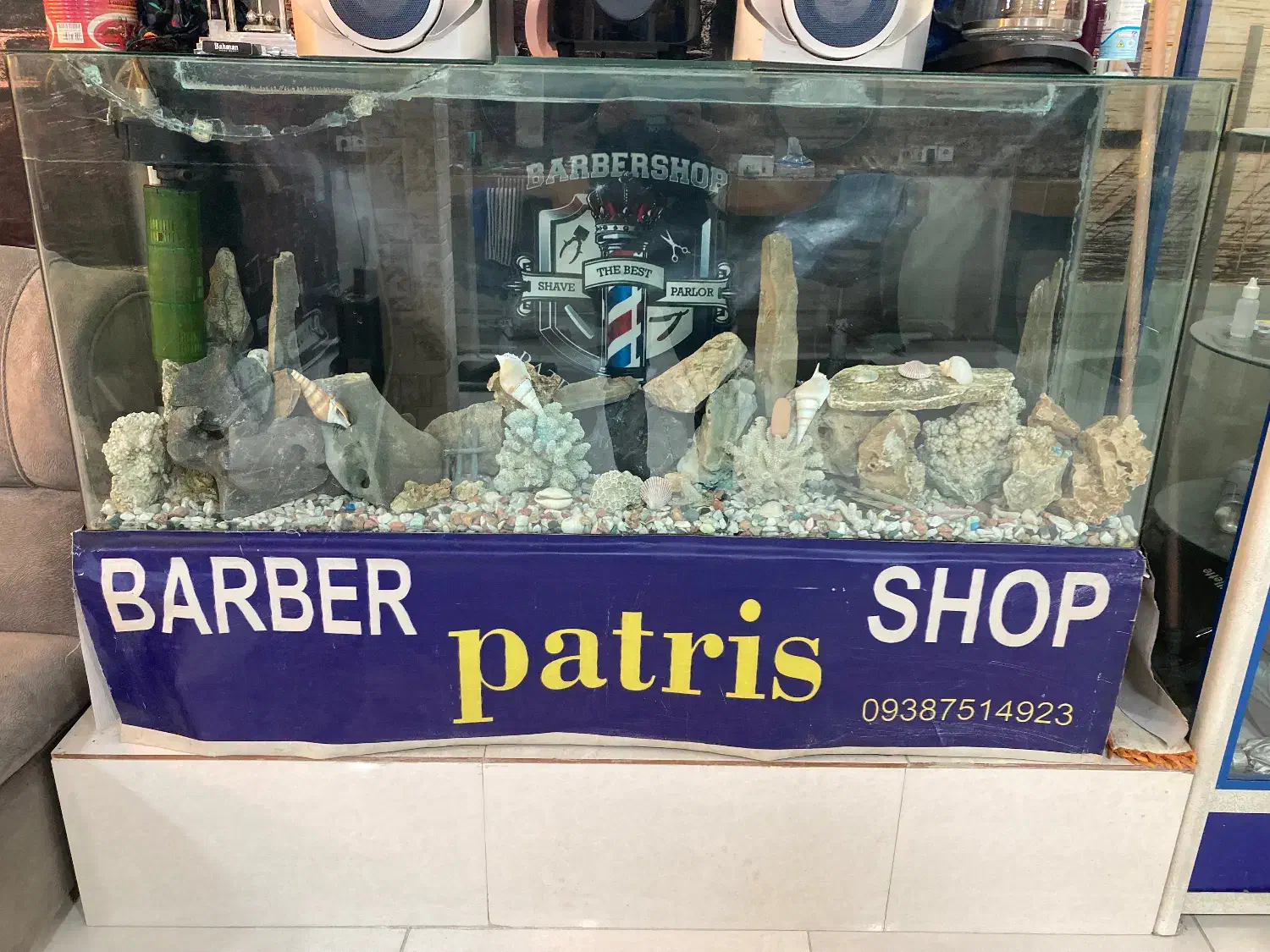 آکواریوم شیشه خم|ماهی|نهاوند, |دیوار