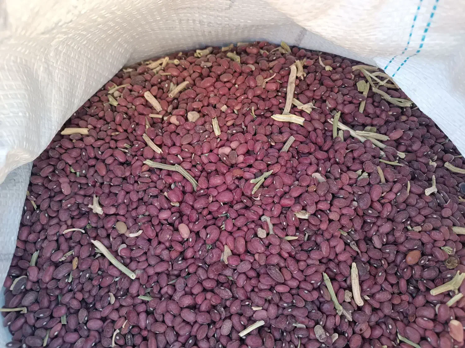 لوبیا قرمز|خوردنی و آشامیدنی|شیراز, گلشن|دیوار