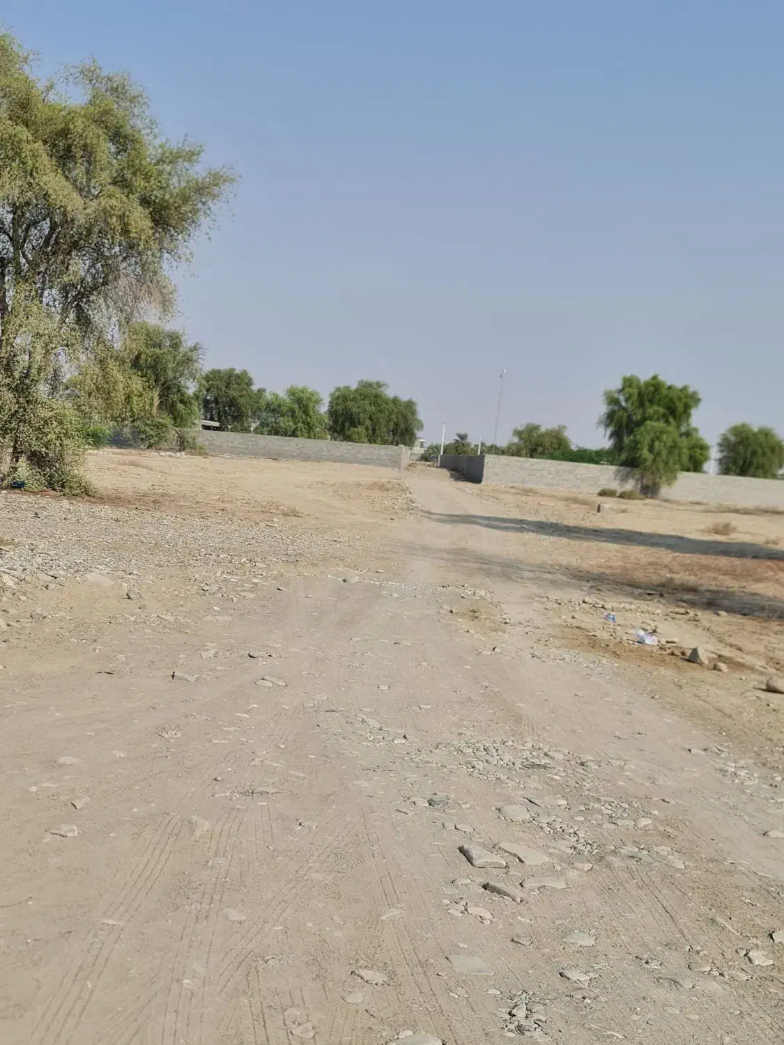 فروش زمین  حسن لنگی|فروش زمین و ملک کلنگی|شمیل, |دیوار