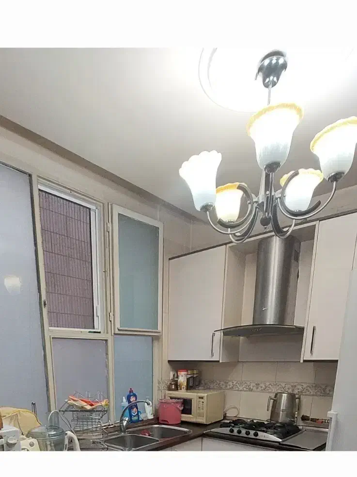 هودوسینکو شیر|هود|تهران, سعادت‌آباد|دیوار