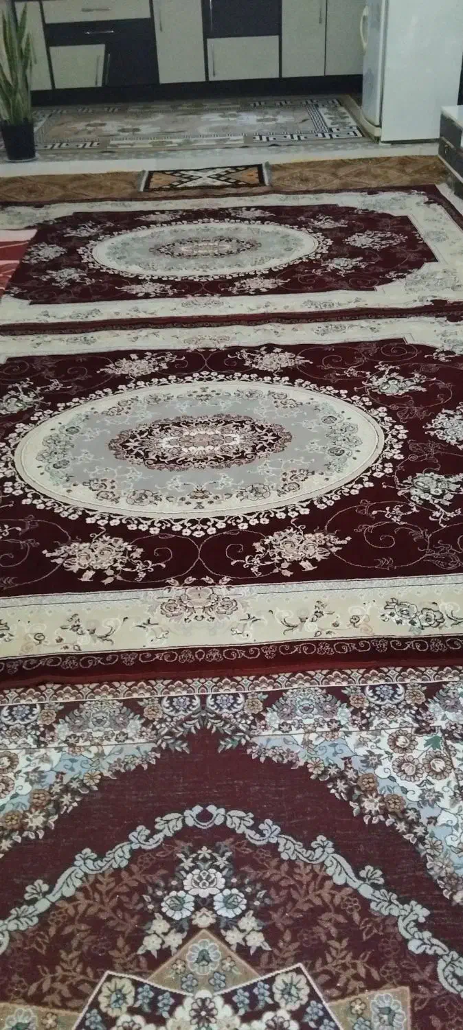 قالی ۶متری|فرش|انبارآلوم, |دیوار