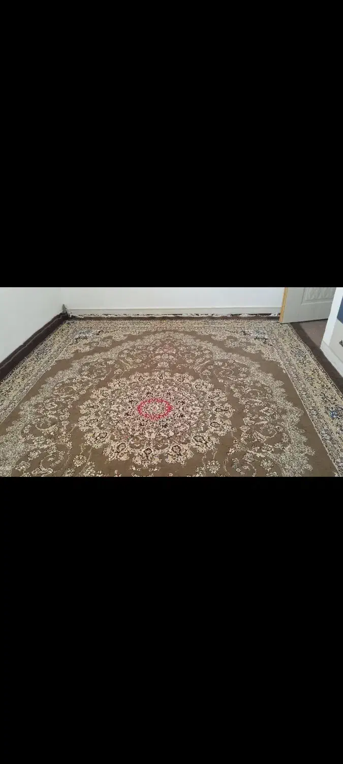 فرش ۱۲متری|فرش|بیضا, |دیوار