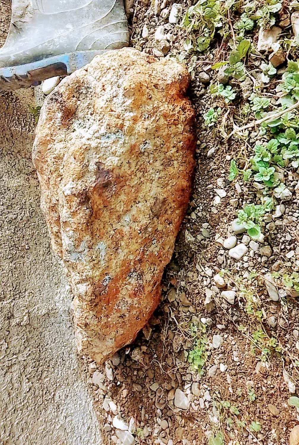 شهاب سنگ|کلکسیون اشیاء عتیقه|تالش, جوکندان|دیوار