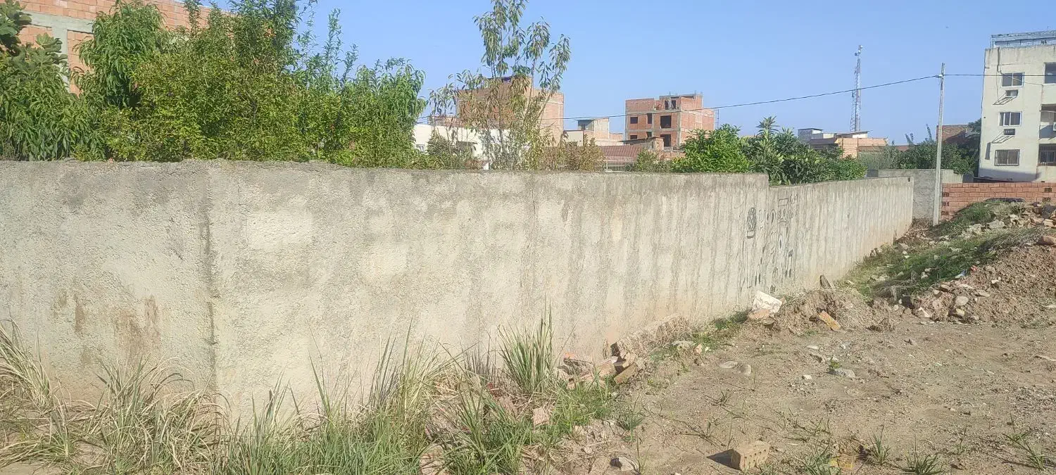 زمین سند دار 300متر شکار. سند دار فاضل اباد|فروش زمین و ملک کلنگی|فاضل آباد, |دیوار