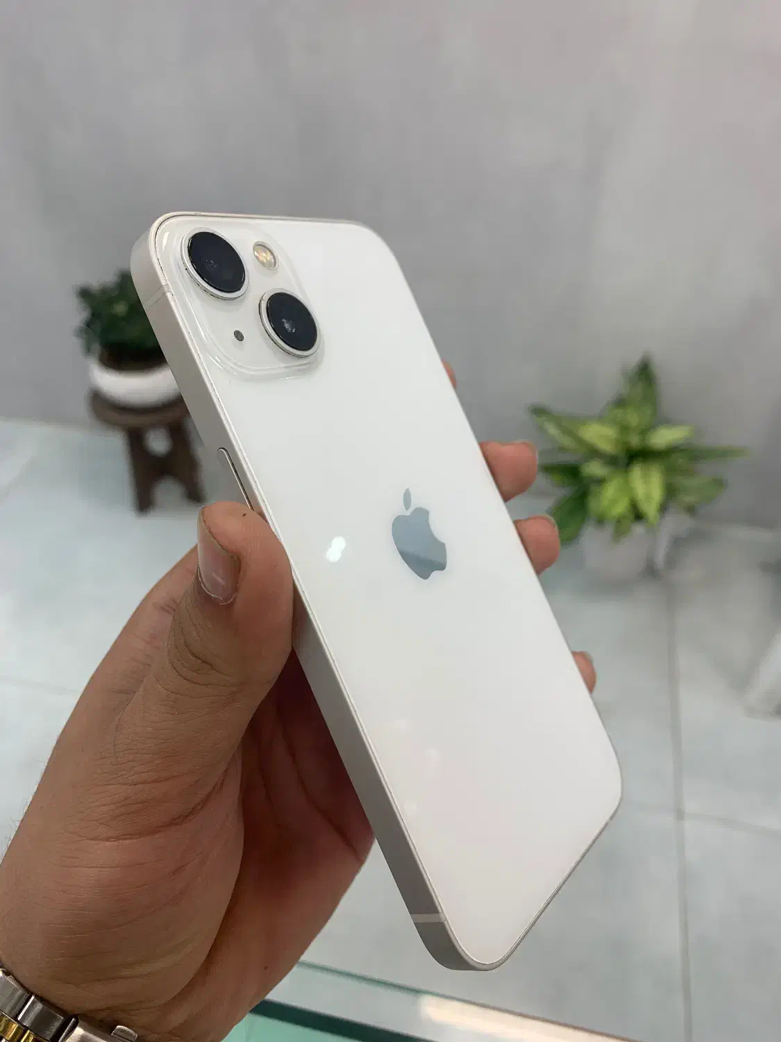 iPhone 13 normal|موبایل|تالش, هشتپر|دیوار