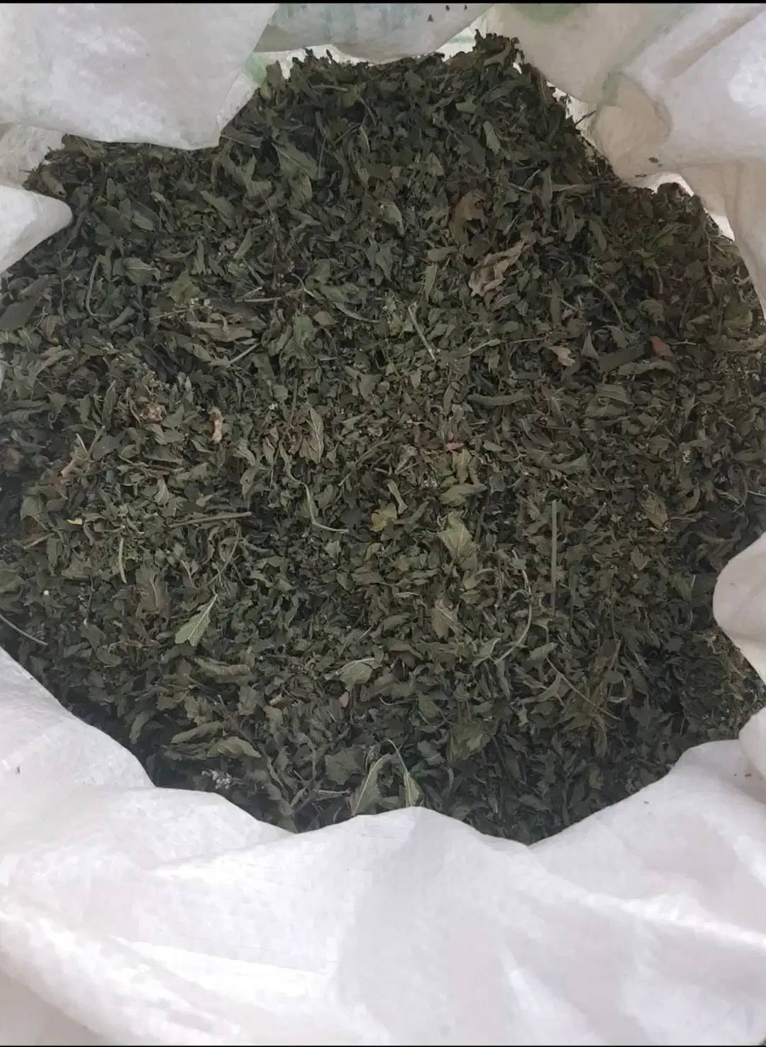 نعنا خشک|خوردنی و آشامیدنی|سوق, |دیوار