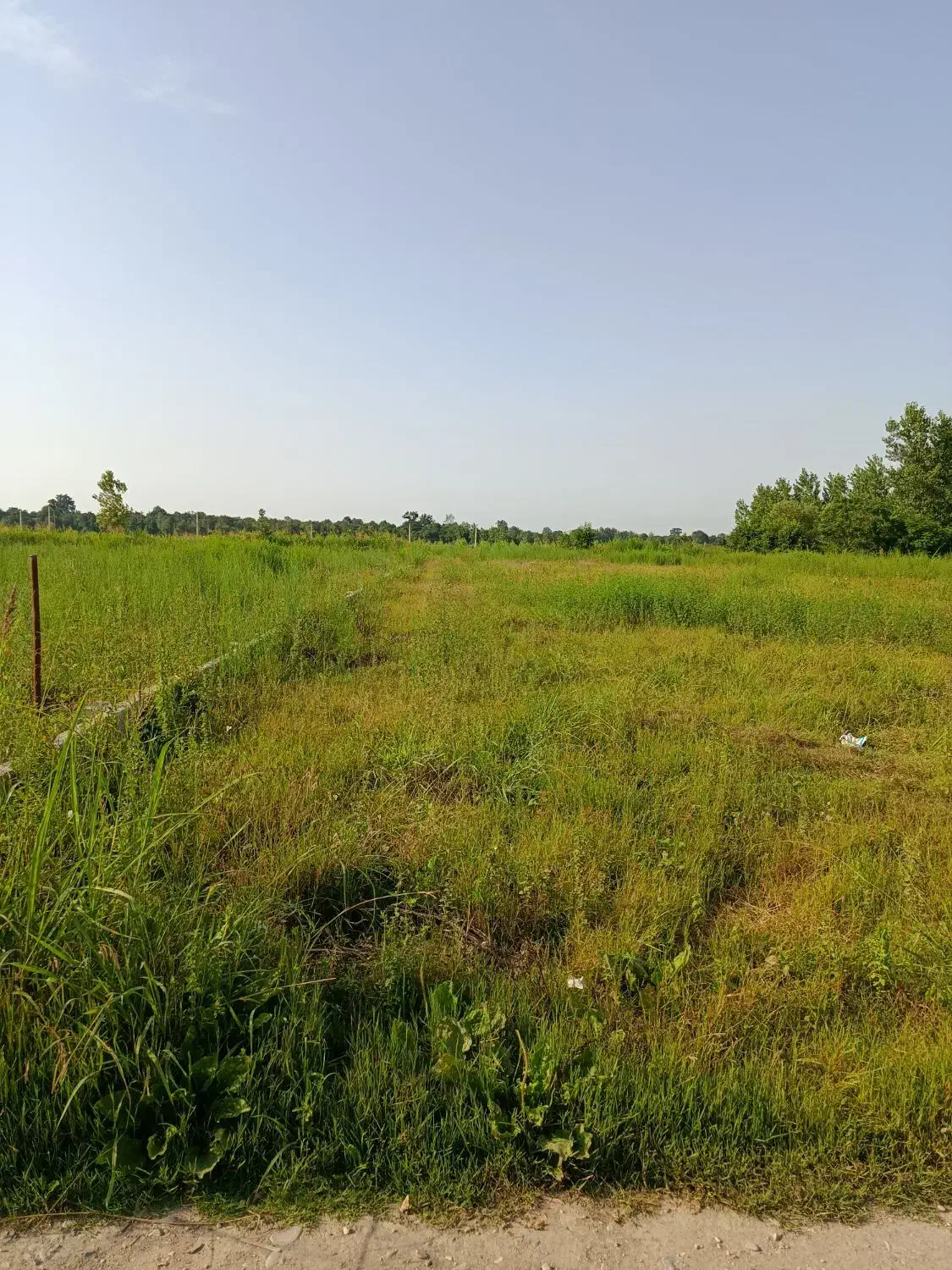 راهنمایی صدمترزمین سندار|فعالیت داوطلبانه|چمستان, |دیوار