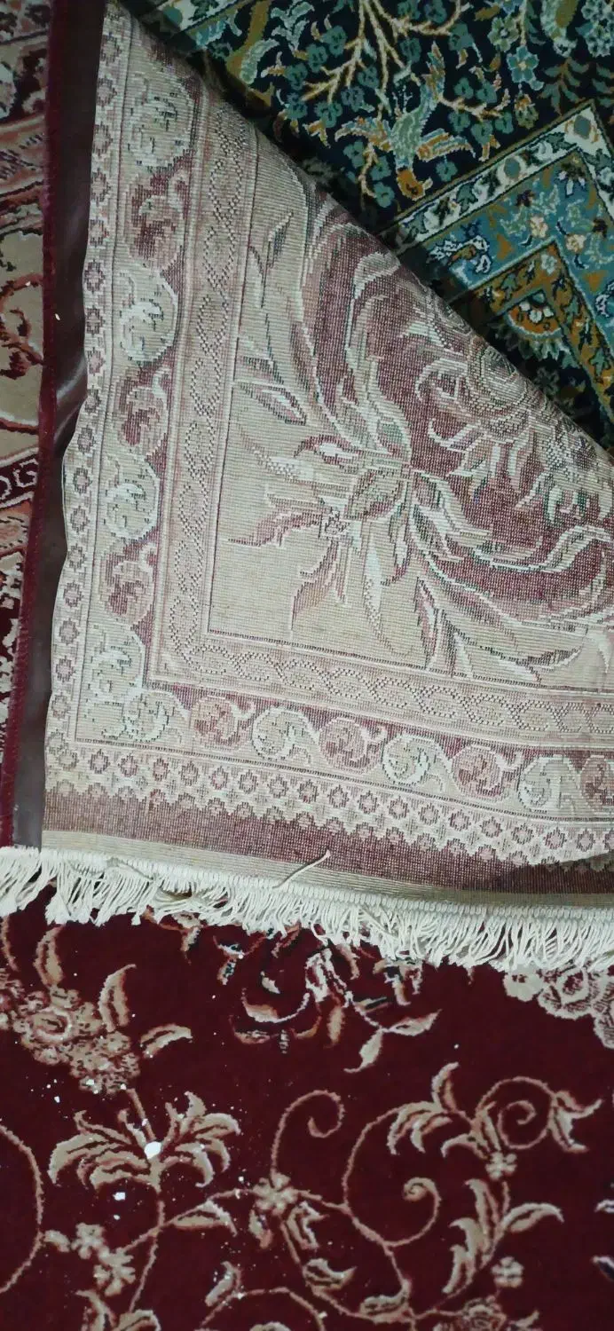 فرش|فرش|رضوانشهر, |دیوار