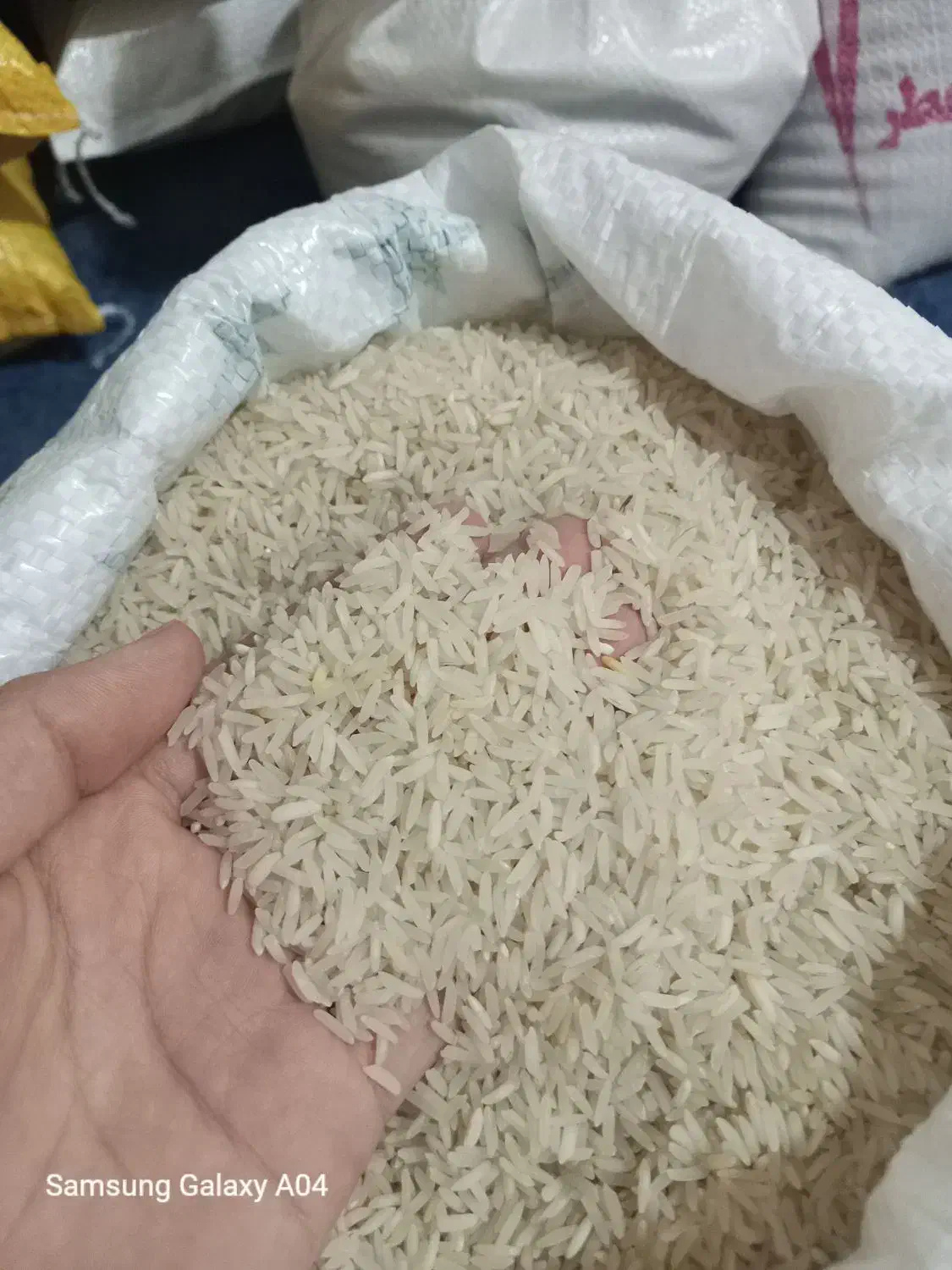 فجر سوزنی اعلا به شرط|خوردنی و آشامیدنی|گنبد کاووس, |دیوار