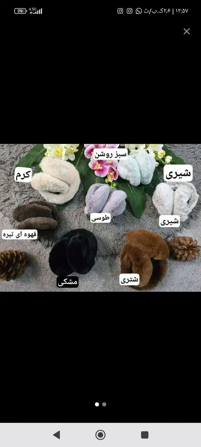 گوش گیر|لباس|شیراز, قصرالدشت|دیوار