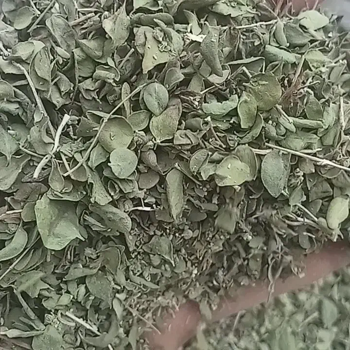 آویشن برگ پهن|خوردنی و آشامیدنی|رابر, |دیوار