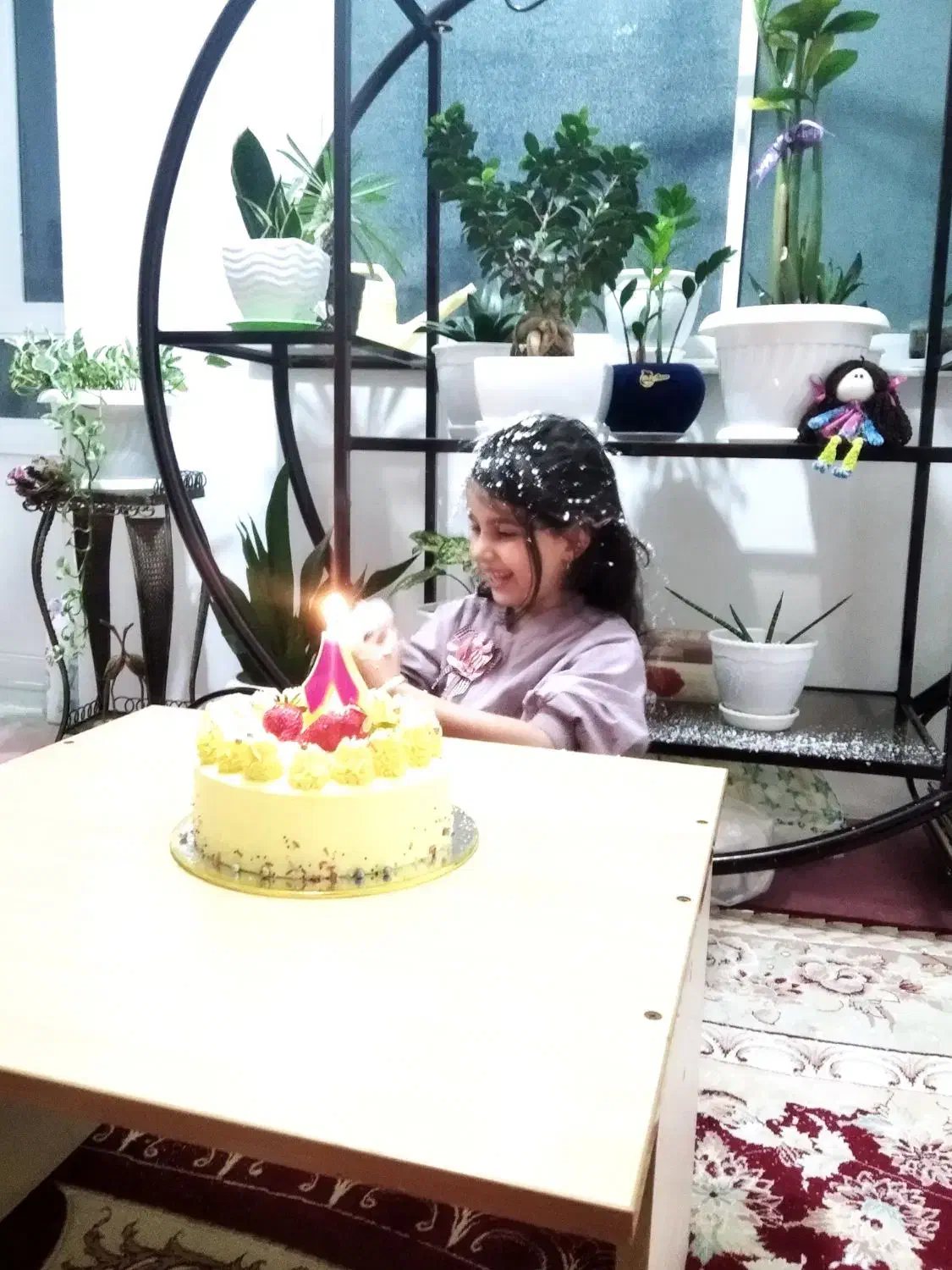 لوازم خانه|کتابخانه، شلف، قفسه‌های دیواری|بابلسر, |دیوار