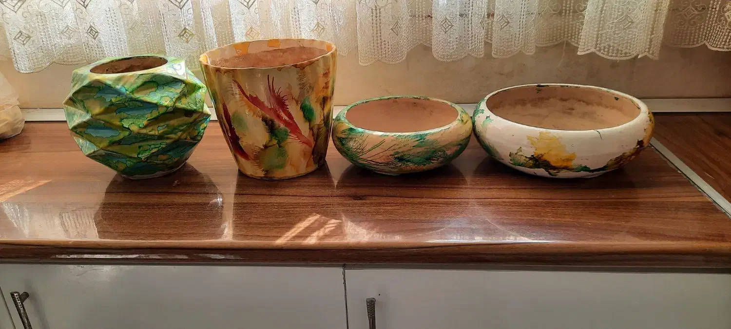 گلدون سفالی|گل و گیاه طبیعی|مشهد, هنرور|دیوار