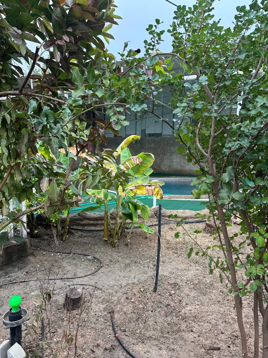 ویلا باغ آب گرم|اجارهٔ کوتاهمدت ویلا و باغ|شوشتر, |دیوار