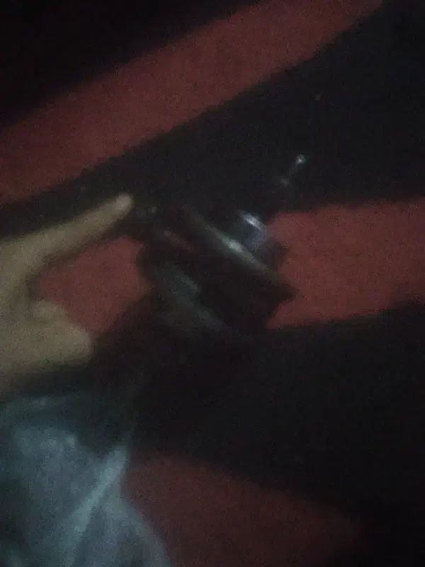 پرنده|پرنده|خرمشهر, |دیوار