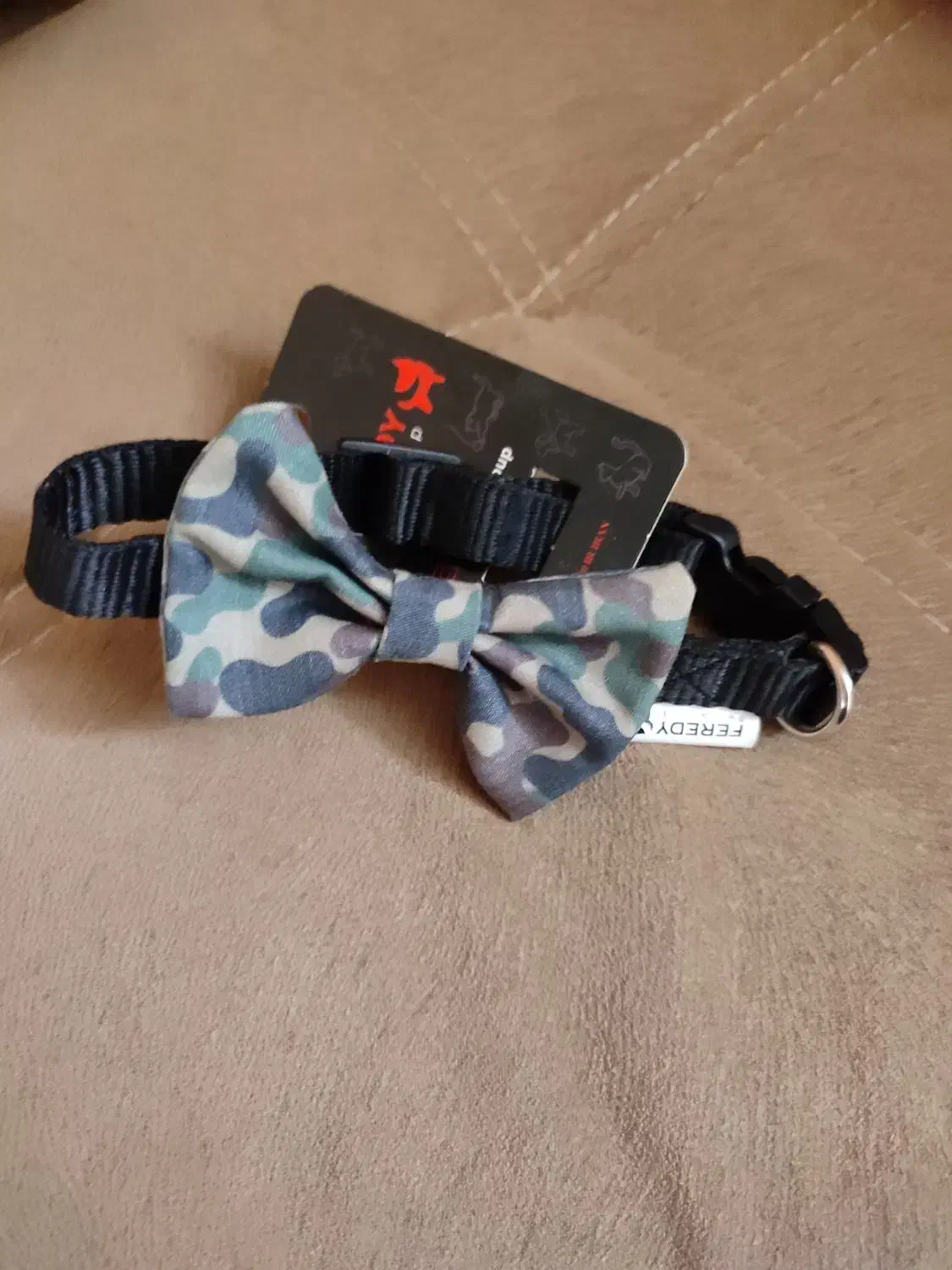 توله سگ|سگ|تهران, آهنگران (سراسیاب دولاب)|دیوار